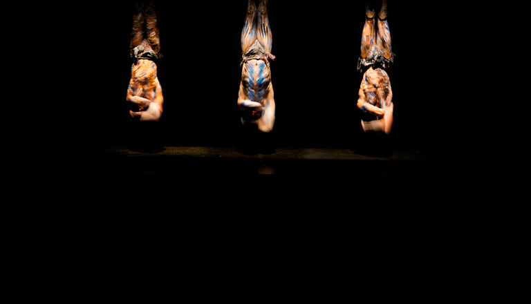 Mutton Bird (2008)
