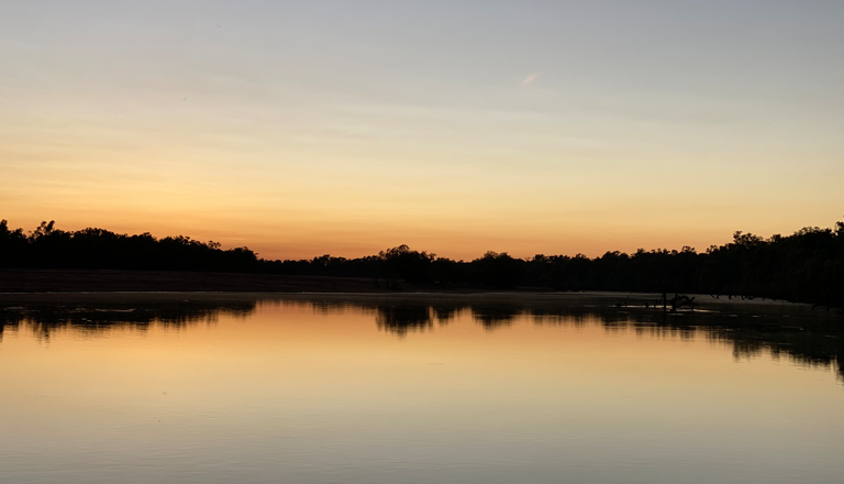 The National Referendum